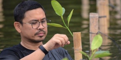  Tanam Mangrove di Utara Jakarta, IKA Usakti Buktikan Bakti